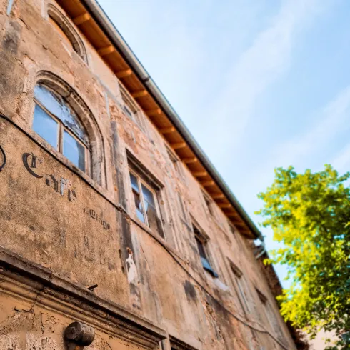 Ein historisches Gebäude mit verwitterter Fassade und großen Fenstern. Im Vordergrund sind grüne Blätter zu sehen, die frischen Kontrast bieten.