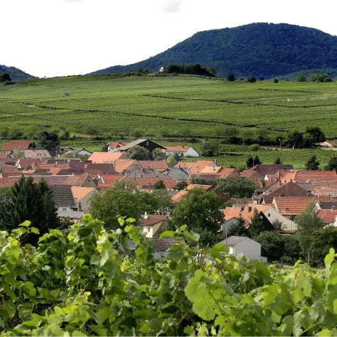 Landau Wollmesheim (© Stadt Landau in der Pfalz)