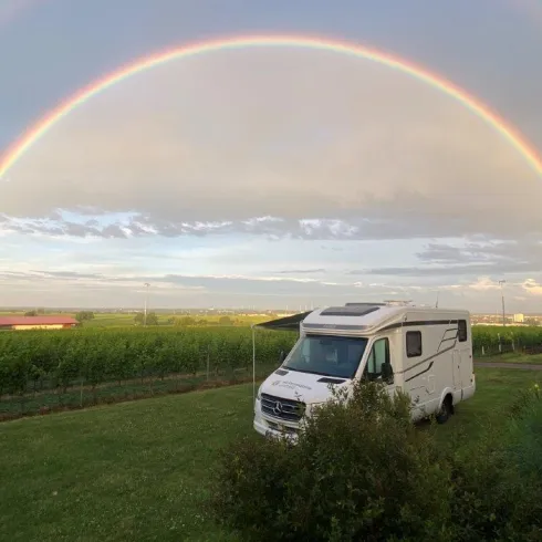 Stellplatz Pfaffmann (© Weingut Pfaffmann)