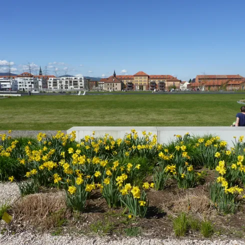 Landauer Südpark (© GF Waltraud_Kappes)