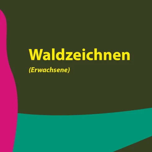 Ein farbenfrohes Plakat für einen Workshop zum Waldzeichnen für Erwachsene. Die Schrift ist modern und klar gestaltet.