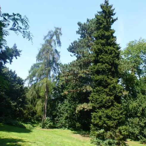 Nordpark Landau (© Stadt Landau - BfT)