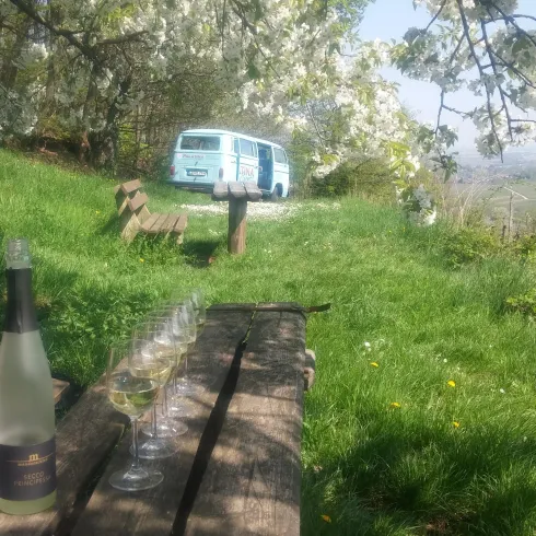 Ein schöner, sonniger Ort im Grünen mit einem alten Bulli im Hintergrund. Auf einem Holztisch stehen Gläser und eine Flasche, umgeben von frischem Gras und Blüten.