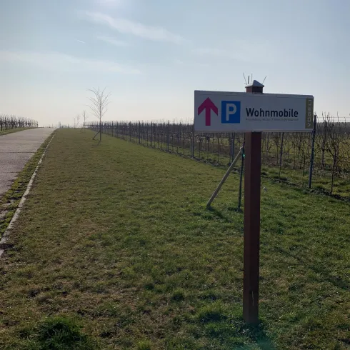 Ein Parkplatz für Wohnmobile mit einem Schild, das nach oben zeigt. Im Hintergrund sind Weinreben und ein klarer Himmel zu sehen.