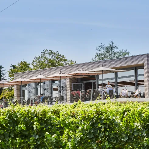 Ein modernes Restaurant mit großen Fenstern und Sonnenschirmen. Die Terrasse ist von grünen Pflanzen umgeben.