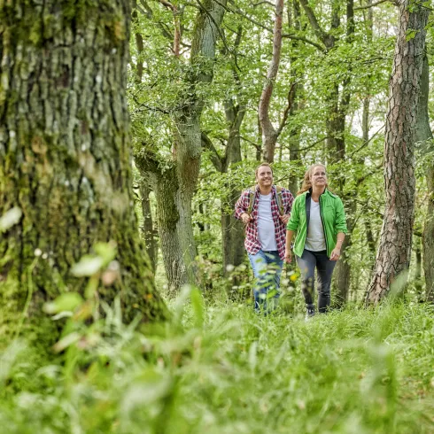 Wandern am Donnersberg (© Florian Trykowski)