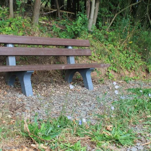 Eine einfache Holzbank steht auf einem Kiesweg. Im Hintergrund wachsen einige Pflanzen und Blumen.