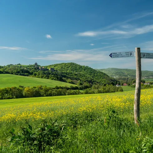 Eine malerische Landschaft mit grünem Hügel, gelben Blumen und einem Wegweiser. Der klare blaue Himmel rundet die idyllische Szene ab.