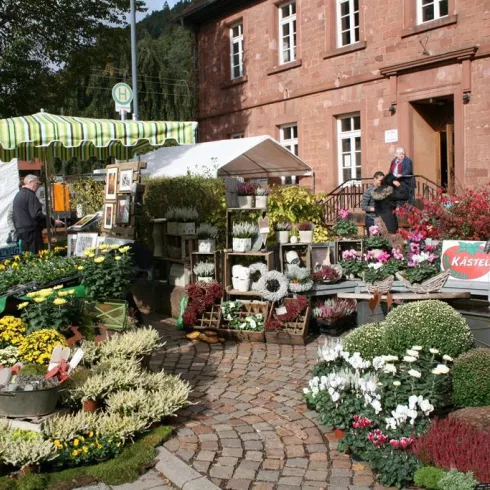 Michaelismarkt in Schönau (© Hans Joachim Noll) Michaelismarkt in Schönau (© Hans Joachim Noll)