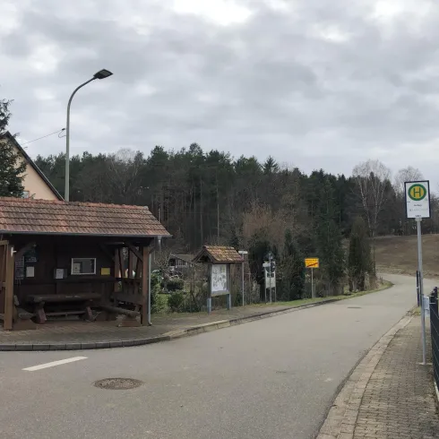 Eine Bushaltestelle mit einem überdachten Wartesitz, umgeben von Bäumen und ländlicher Landschaft. Der Himmel ist bewölkt und die Atmosphäre ist ruhig.
