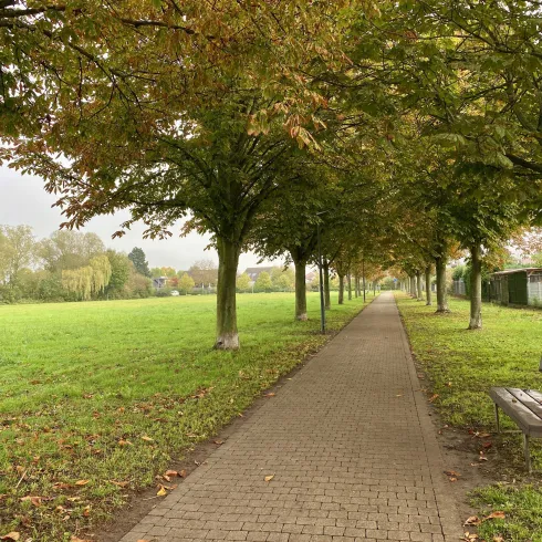 Park am Rathaus Offenbach (6)