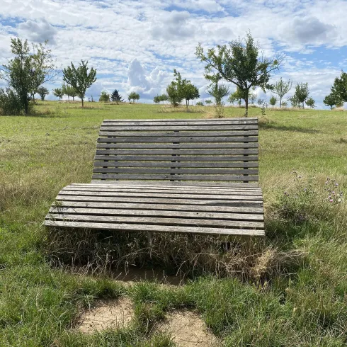 Himmelsliege 3 Grünstadt