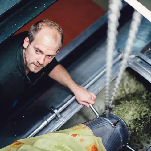 kneisel_201710_1920px-2306