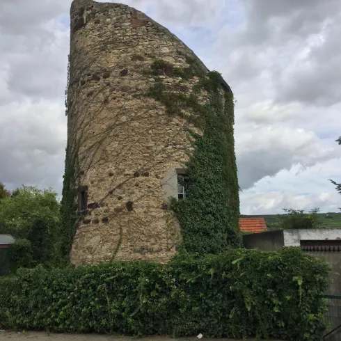 Ein alter Steinmast, überzogen mit Efeu, steht an der Straßenecke. Der Himmel ist bewölkt und es gibt einige Häuser im Hintergrund.