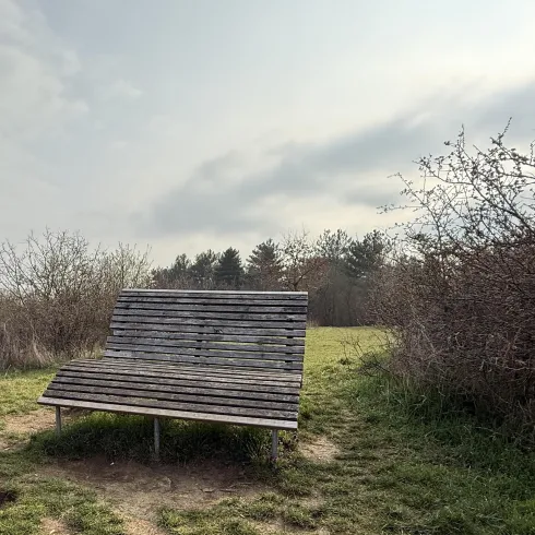 Himmelsliege 4 Steinzeitblick