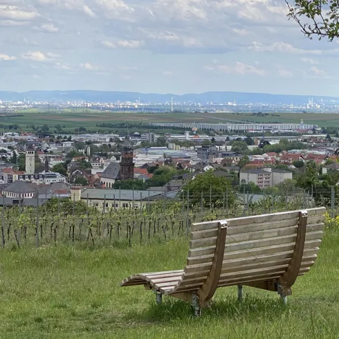 Himmelsliege 1 Grünstadt