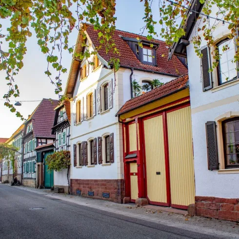 Rohrbach 1 (© Verein Südliche Weinstrasse Herxheim e.V.)