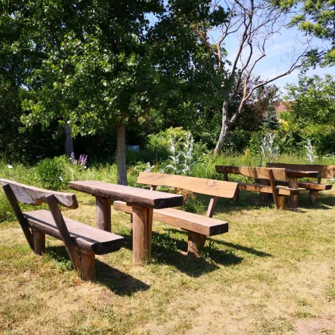 Ein ruhiger Garten mit mehreren Holztischen und Bänken. Die Umgebung ist grün und lädt zum Verweilen im Freien ein.