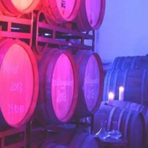 Ein Weinlager mit großen Holzfässern in verschiedenen Farbtönen. Sanftes Licht schafft eine gemütliche Atmosphäre.