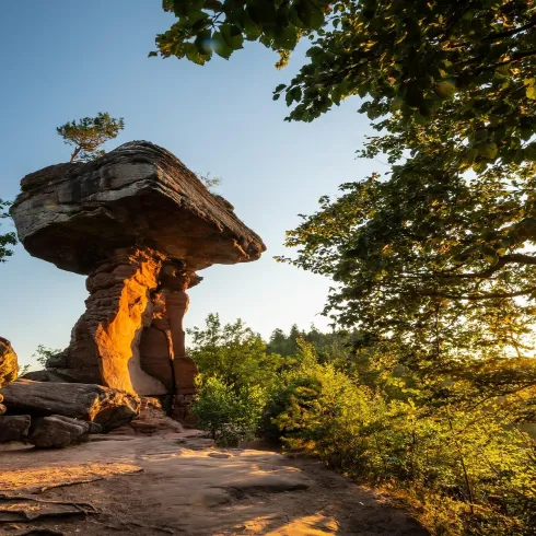 Ein großer, markanter Felsen mit einem Baum oben steht in einer grünen Landschaft. Die Sonne geht im Hintergrund auf und taucht die Szenerie in warmes Licht.