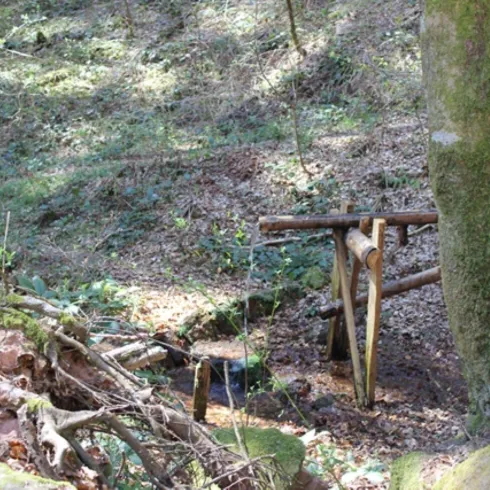 Kleine Quelle auf dem Premiumwanderweg Hinterweidenthaler Teufelstisch-Tour mitten im Wald. Im Vordergrund umgibt eine Holzkonstruktion die Quelle.