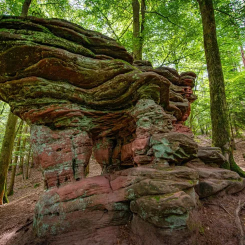 Teufelsküche Hinterweidenthaler Teufelstisch-Tour (© Christoph Riemeyer)