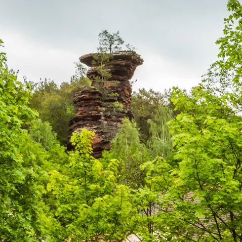 Der Rappenfelsen (Aussehen wie ein Steinturm) umgeben von Bäumen