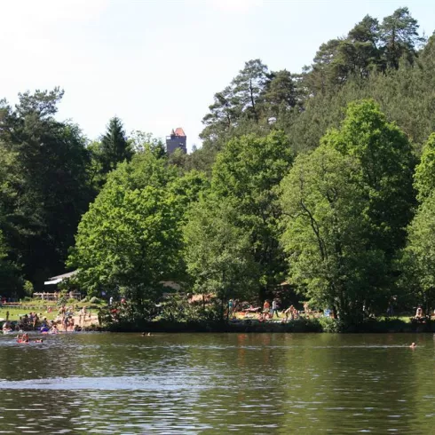 Seehofweiher bei Erlenbach 1 (© TI Dahner Felsenland)