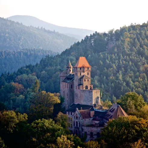 Burg Berwartstein, Erlenbach bei Dahn (© Kurt Groß)