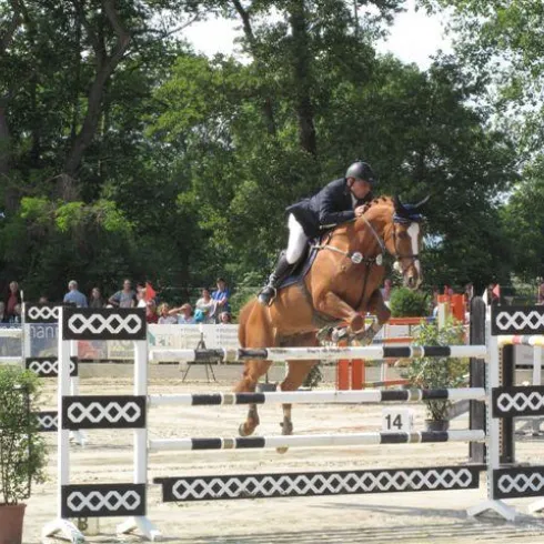 Springreiter (© Reit- und Springverein Zeiskam e.V.)