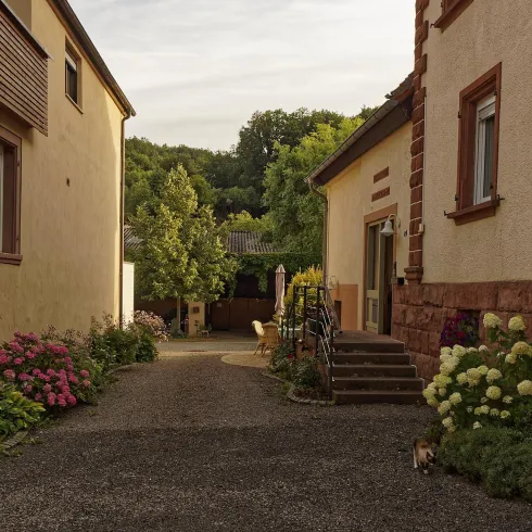 Eine malerische Einfahrt zwischen zwei Häusern, umgeben von bunten Blumen. Der Weg ist von Bäumen umgeben und vermittelt eine entspannte Atmosphäre.