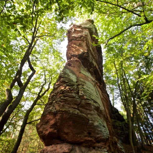Ein beeindruckender Felsen, der von üppigem grünen Wald umgeben ist. Die Bäume bilden einen schönen Rahmen für die Felsformation.