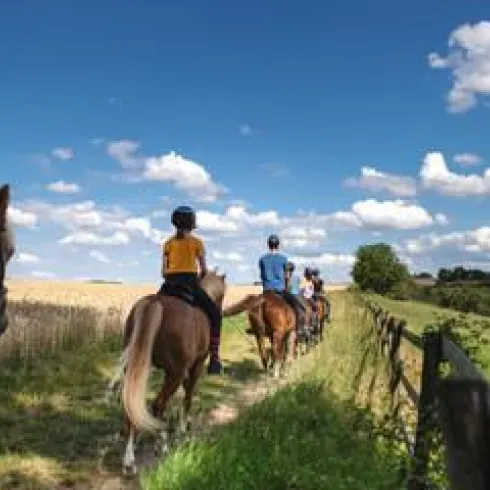 Eine Gruppe von Reitern unterwegs auf einem ruhigen Feldweg. Der Himmel ist blau mit einigen Wolken und die Umgebung ist grün und idyllisch.