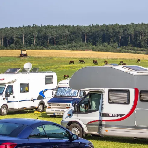 Ein Campingplatz mit mehreren Wohnmobilen in einer grünen Landschaft. Im Hintergrund sind Kühe auf einer Wiese zu sehen.