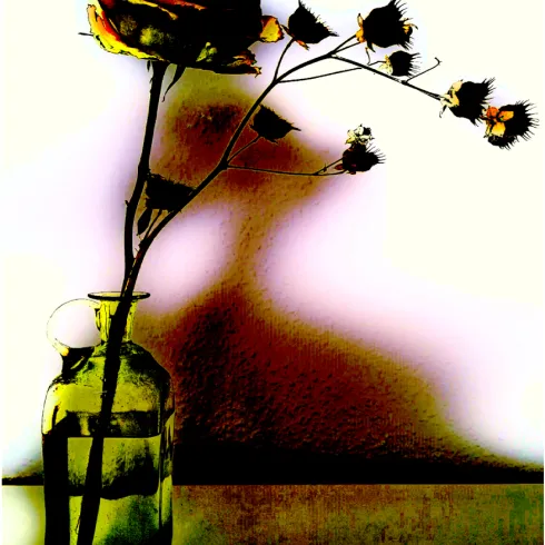Eine einzelne rose in einer Glasvase mit einem minimalistischen Hintergrund. Die Farben sind lebhaft und der Kontrast betont die Schönheit der Blume.