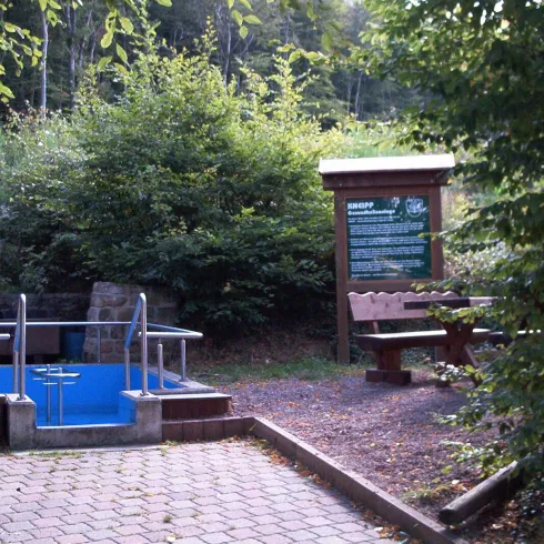 Ein ruhiger Außenbereich mit einem kleinen Holzbecken und Sitzgelegenheiten. Umgeben von grünen Pflanzen und Bäumen.