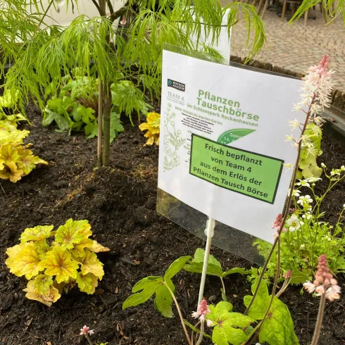 Ein Garten mit verschiedenen Pflanzen und einem Schild zur Pflanzen-Tauschbörse. Das Schild informiert über die frische Bepflanzung von Team 4.