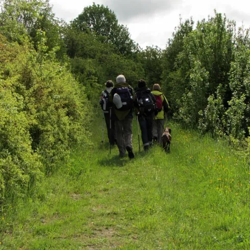 Römerstraße-Wanderer