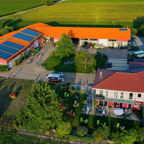 Weingut Spiegel (© Weingut Spiegel) Weingut Spiegel (© Weingut Spiegel)