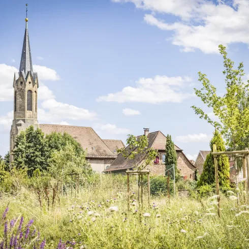 Kirche Großfischlingen (© Verein SÜW Edenkoben, T. Kujat)
