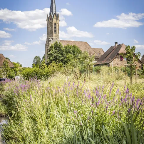Kirche Großfischlingen (© Verein SÜW Edenkoben, T.Kujat)