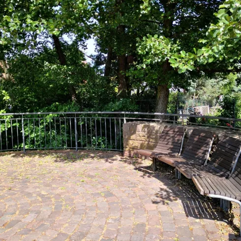 Ein ruhiger Ort mit einer runden Bank und viel grünem Laub. Ideal für eine entspannte Pause in der Natur.