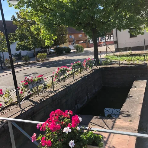 Zeppelinbrunnen (© Verein Südliche Weinstrasse Herxheim e.V.)