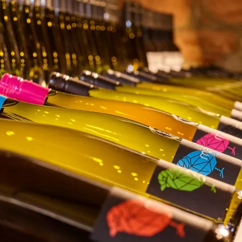 Cuvées Bio-Weingut Martin