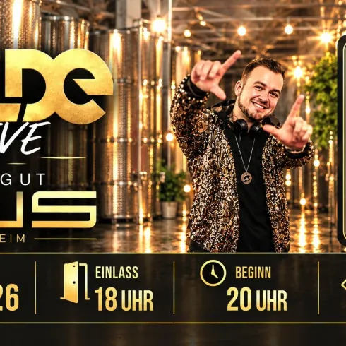 Ein Plakat für ein Live-Konzert von DJ Olde im Weingut Bus in Insheim. Das Event findet am 14. November 2026 statt, Einlass ist um 18 Uhr und der Beginn um 20 Uhr.
