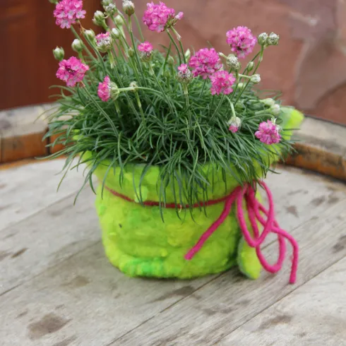 Ein fröhlicher Topf mit pinken Blumen und grünem Gras. Der Topf ist auffällig und hat eine bunte Schnur umwickelt.