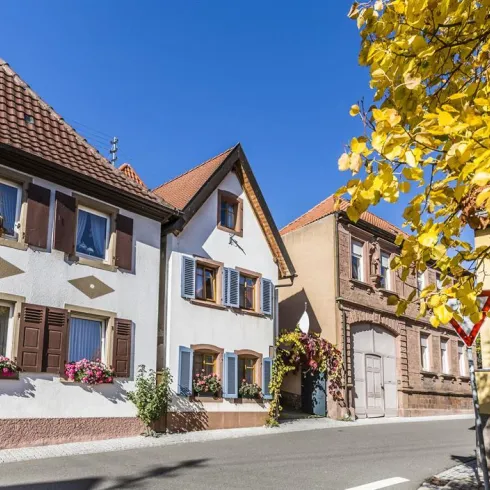 Weyher (© Verein SÜW Edenkoben, T. Kujat)