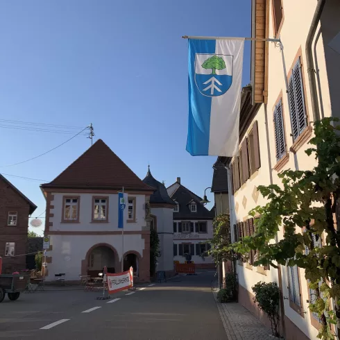 Weingläser