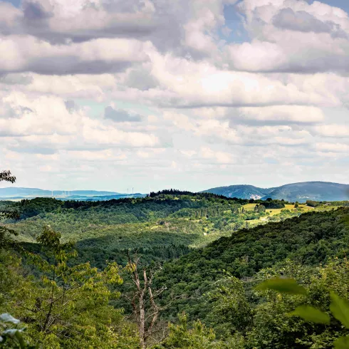 Pfalzblick Richtung Donnersberg