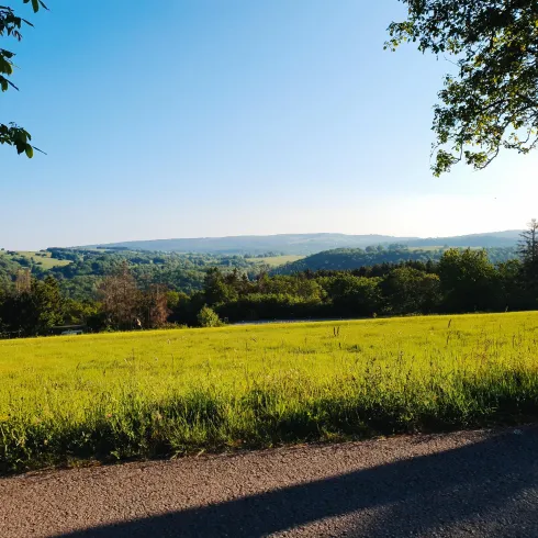 Sommerlandschaft am Bärenbachpfad